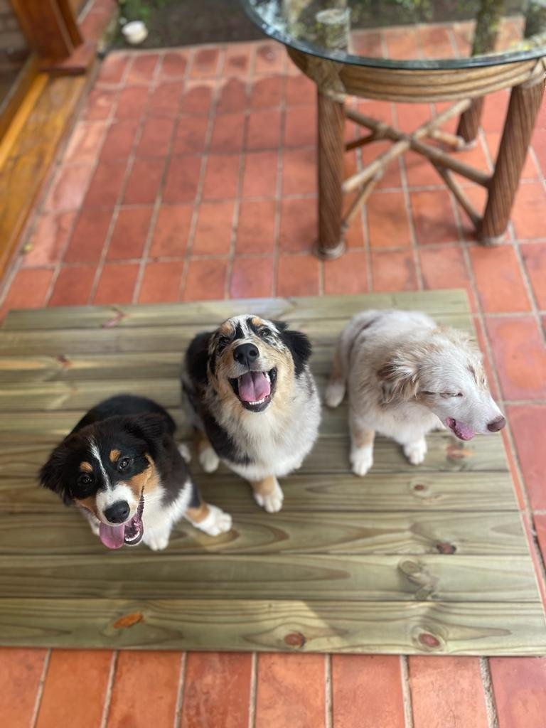 WhatsApp Image 2023-02-18 at 5.43.39 PM (26)