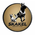 236107673_3708930212664537_3666789118840156524_n-removebg-preview